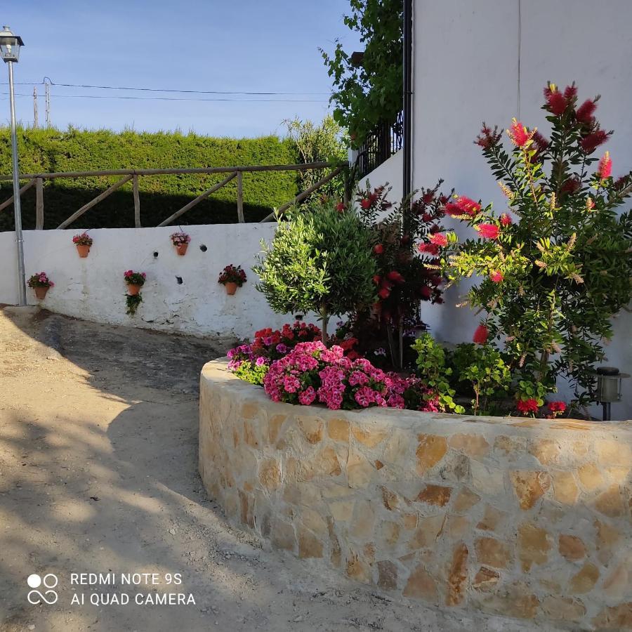 La Casa De La Abuela Casa de hóspedes Setenil De Las Bodegas Exterior foto