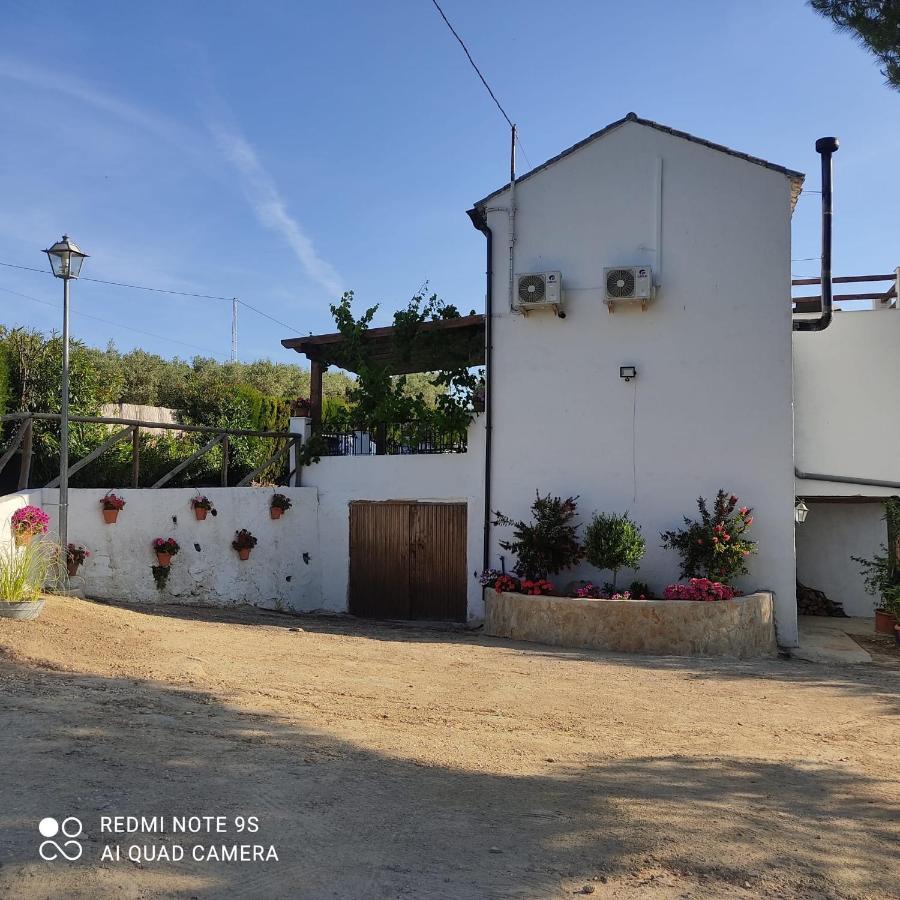 La Casa De La Abuela Casa de hóspedes Setenil De Las Bodegas Exterior foto