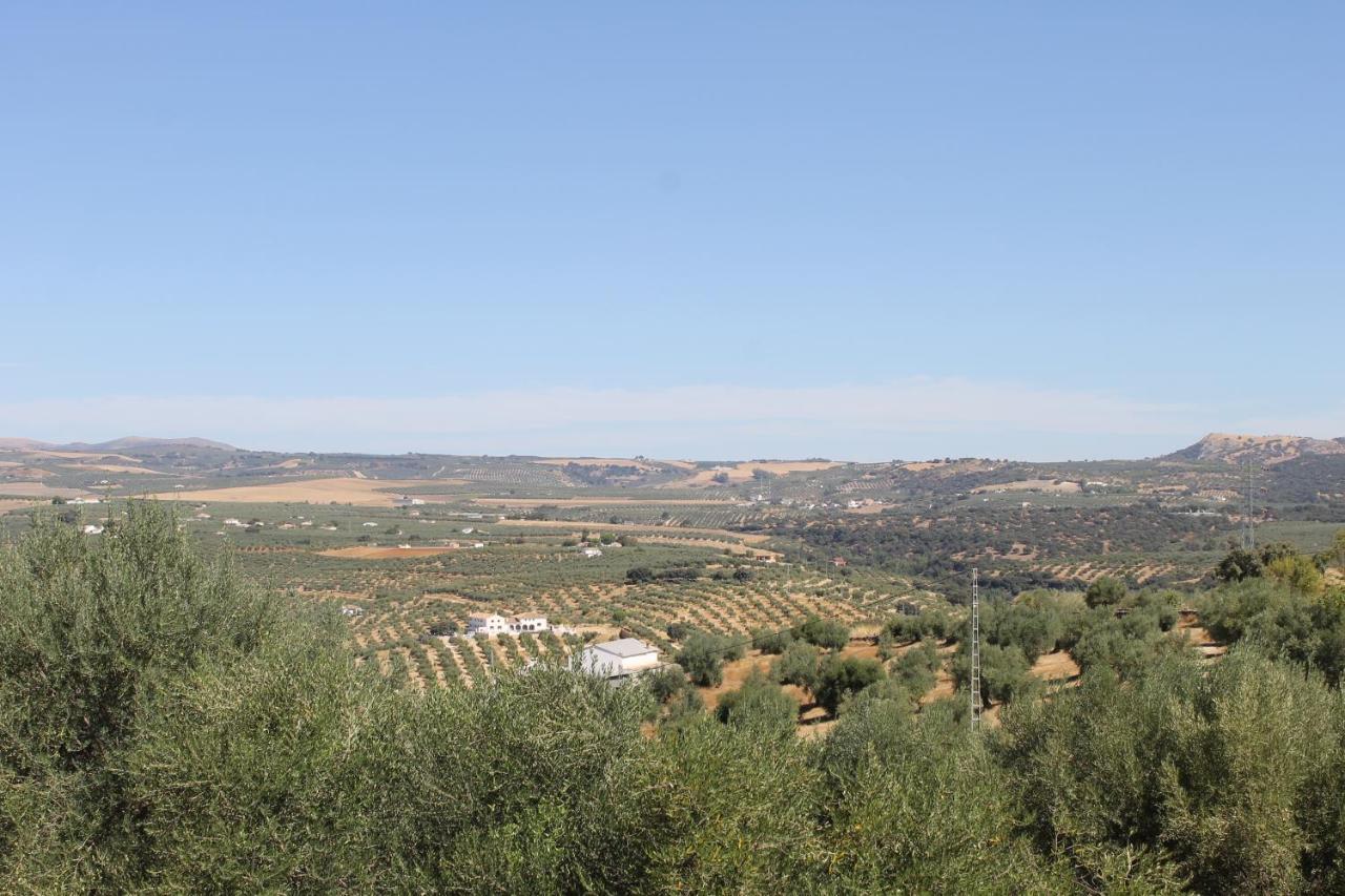 La Casa De La Abuela Casa de hóspedes Setenil De Las Bodegas Exterior foto
